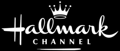 Television audience profile