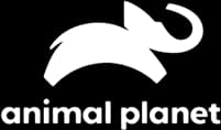Network Logo