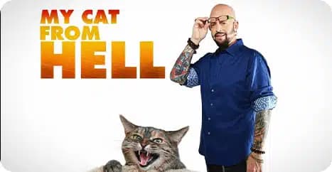 My Cat From Hell