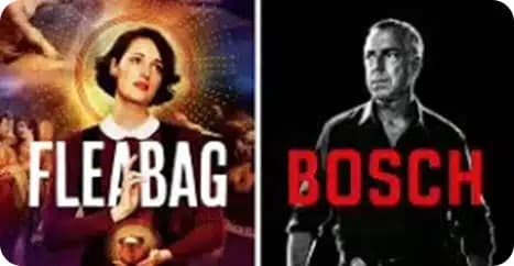 Fleabag Bosch