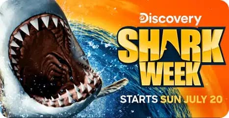 Discovery Shark Week