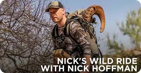 Nick's Wild Ride with Nick Hoffman